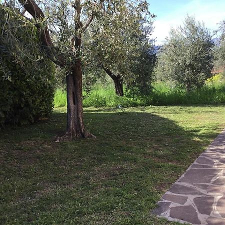 Bio Forester Manerba del Garda Exteriér fotografie