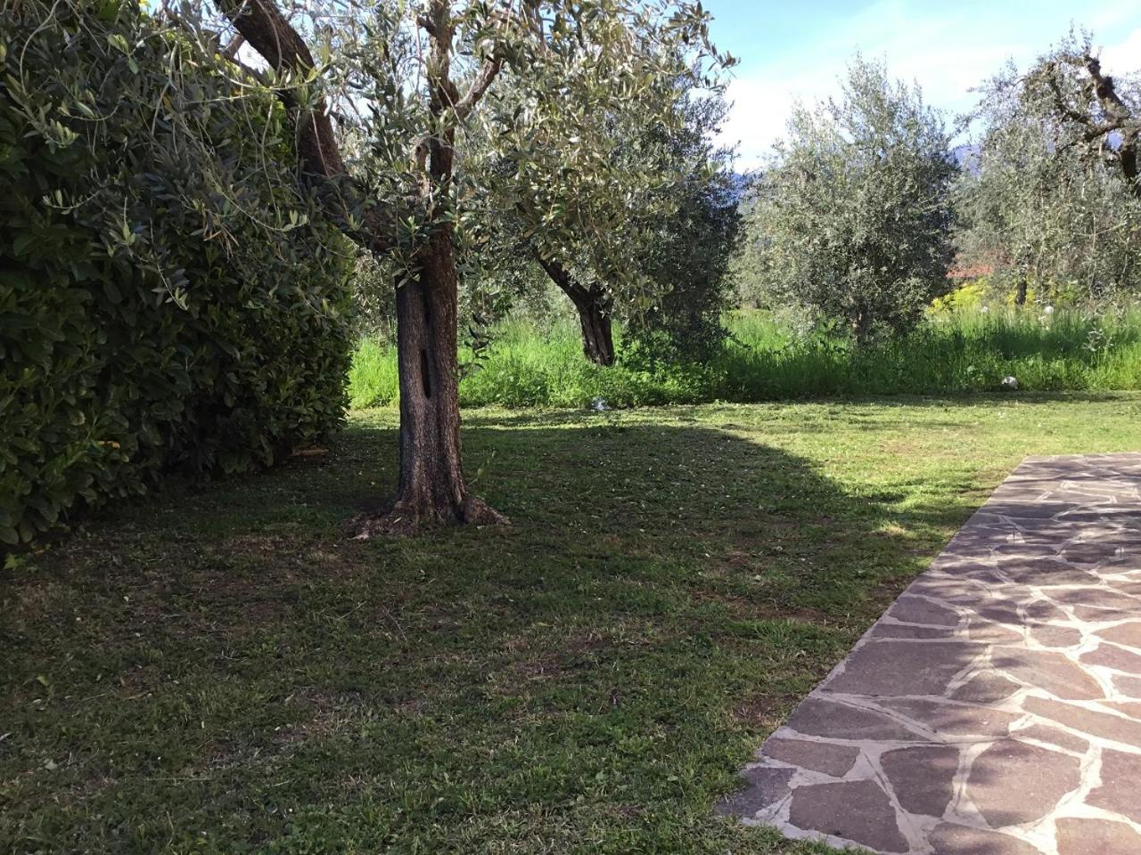 Bio Forester Manerba del Garda Exteriér fotografie