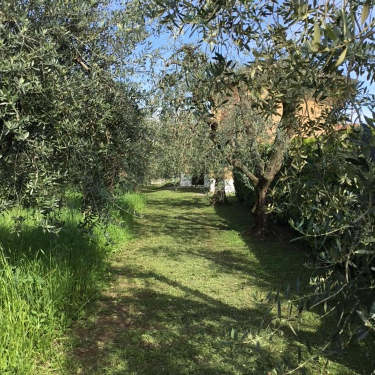 Bio Forester Manerba del Garda Exteriér fotografie